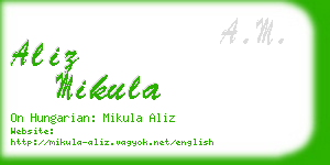 aliz mikula business card